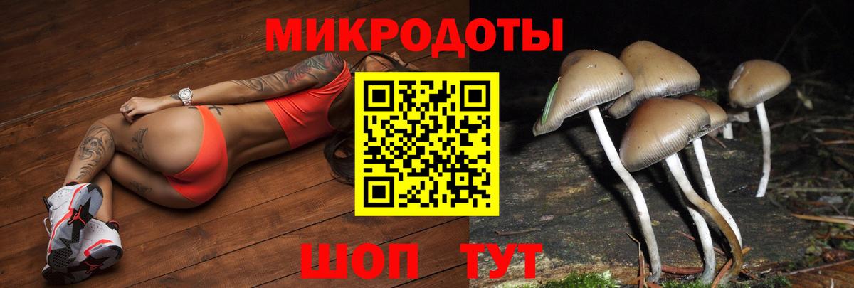 Галлюциногенные грибы ЛСД Маркс